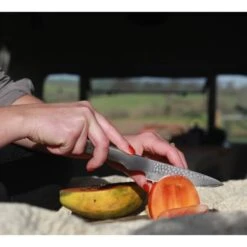 Paring Knife 10cm 14 Paring Knife 10cm -Knives From Japans global sai paring knife 10cm p1332 12403 medium