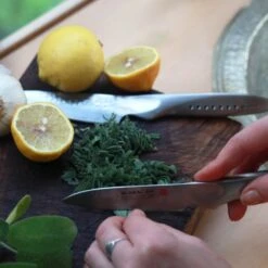 SAI-F01 9cm Paring Knife 12 SAI-F01 9cm Paring Knife -Knives From Japans global sai sai f01 9cm paring knife p194 12397 medium