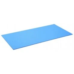 Hasegawa FYS-6030Non- Slip Mat 600 X 300 Mm