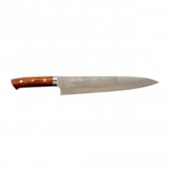 Takeshi Saji Rainbow Damascus 24cm Gyuto With Ironwood Handle
