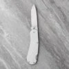 All Stainless Drop Point Lock Knife
