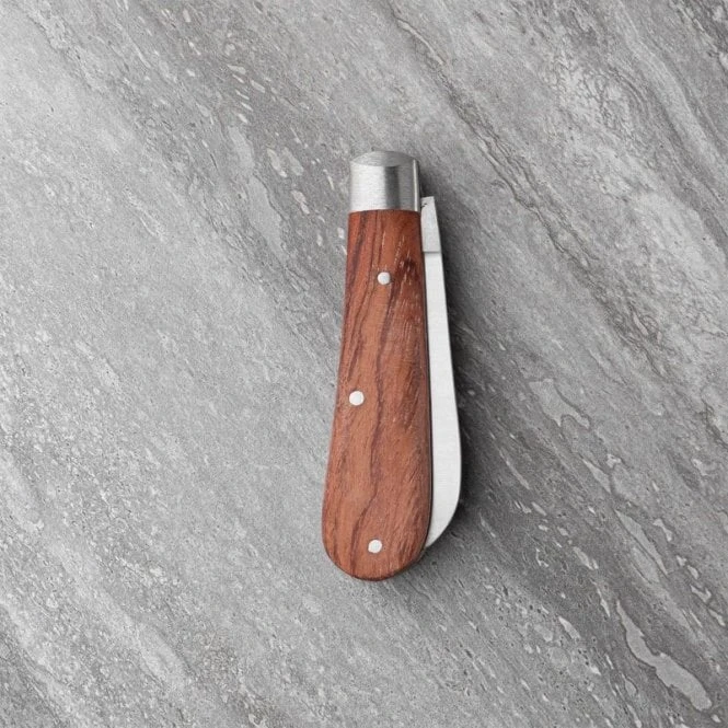 Twin Blade Hardwood Handle Pocket Knife 5 Twin Blade Hardwood Handle Pocket Knife - Image 3