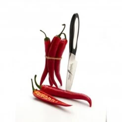 Tojiro Senkou DP (Flash) 9cm Paring Knife -Knives From Japans tojiro senkou dp flash 9cm paring knife p392 4936 medium