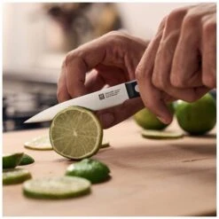 Paring Knife 10 Cm 11 Paring Knife 10 Cm -Knives From Japans zwilling gourmet paring knife 10 cm p2810 15006 medium