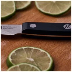 Paring Knife 10 Cm 13 Paring Knife 10 Cm -Knives From Japans zwilling gourmet paring knife 10 cm p2810 15008 medium