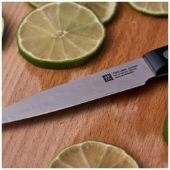 Paring Knife 10 Cm 14 Paring Knife 10 Cm -Knives From Japans zwilling gourmet paring knife 10 cm p2810 15009 medium
