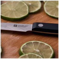 Paring Knife 10 Cm 15 Paring Knife 10 Cm -Knives From Japans zwilling gourmet paring knife 10 cm p2810 15010 medium